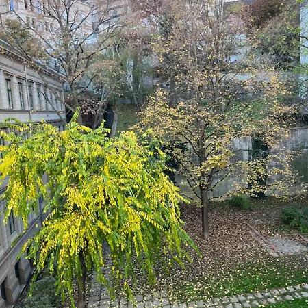 Sunny At The Castle *